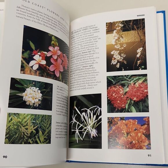 Sunny South Maui Kihei Wailea Makena Kahoolawe Book 1992 - Picture 9 of 12